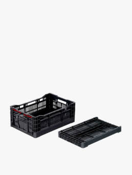 Cajas de plástico plegables para horticultura Disset Odiseo