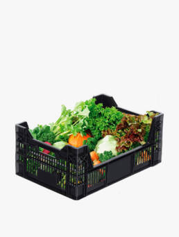 cajas-de-plastico-para-frutas-y-verduras-cajas-plasticas-cajas-contenedores-dissetodiseo